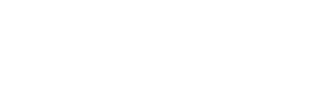 Vallejo White Logo